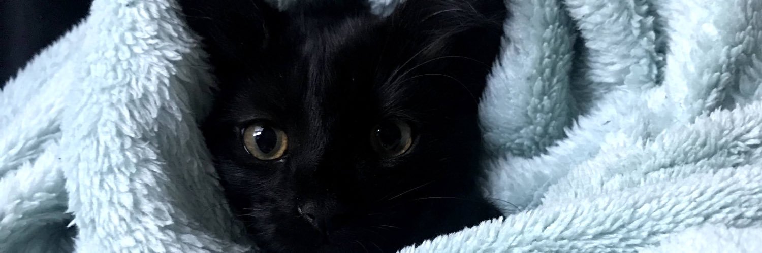 SuriaDanilenko's profile banner image