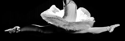 TupeloBallet's profile banner image