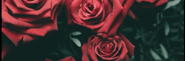 bria_infinityx Profile Banner