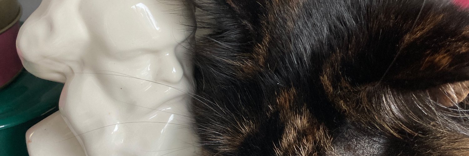 Julia Hahmann banner