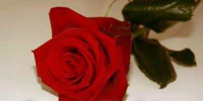 7a859ff3fbf047f's profile banner image