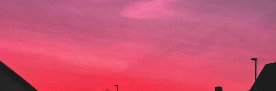 sayurybasurto's profile banner image