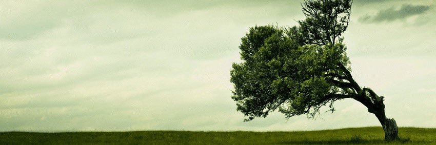 SelcukOkuslu's profile banner image