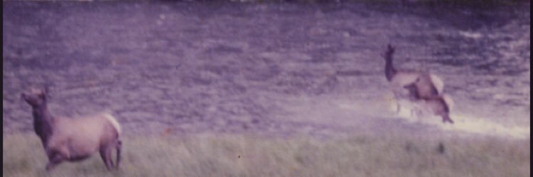 no1dads's profile banner image