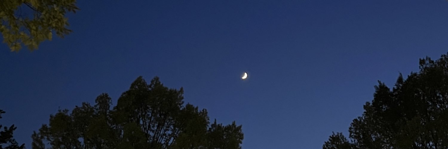 betteroffbruk's profile banner image