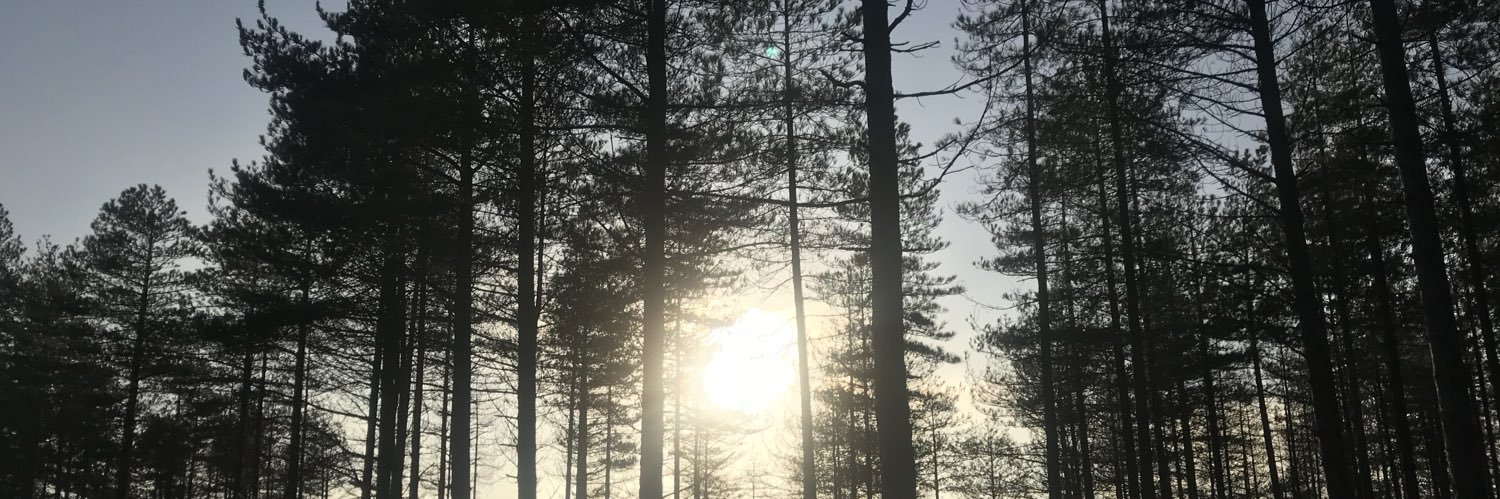 EllaRoseMay's profile banner image