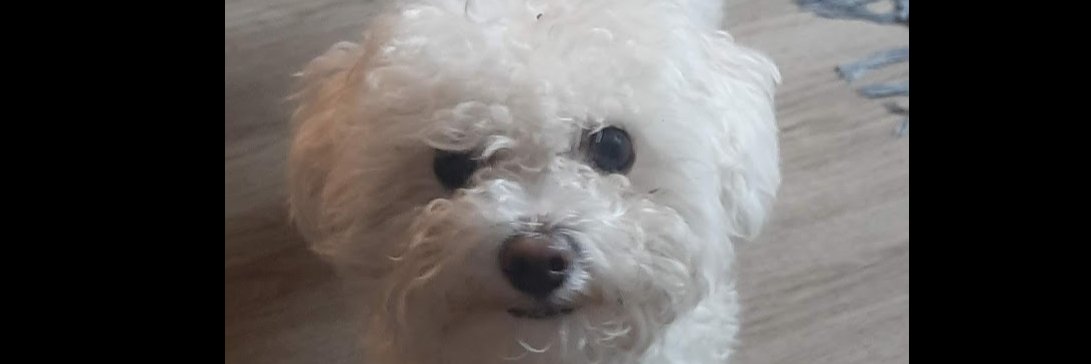 plasmoxy's profile banner image