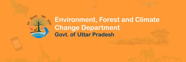 UpforestUp Profile Banner