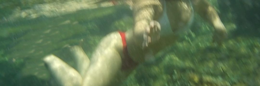 juditpolop's profile banner image