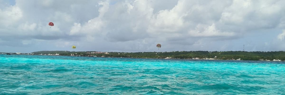 CamiCarrilloP's profile banner image