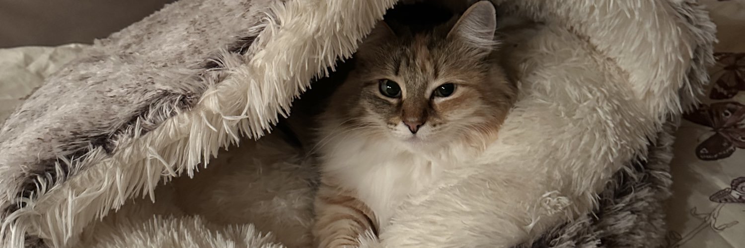 FluffySima's profile banner image