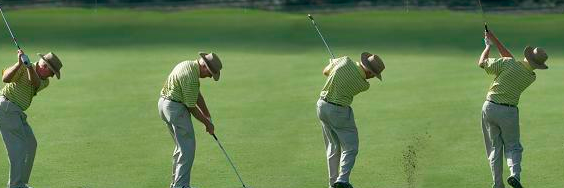 Golf Wisdom banner