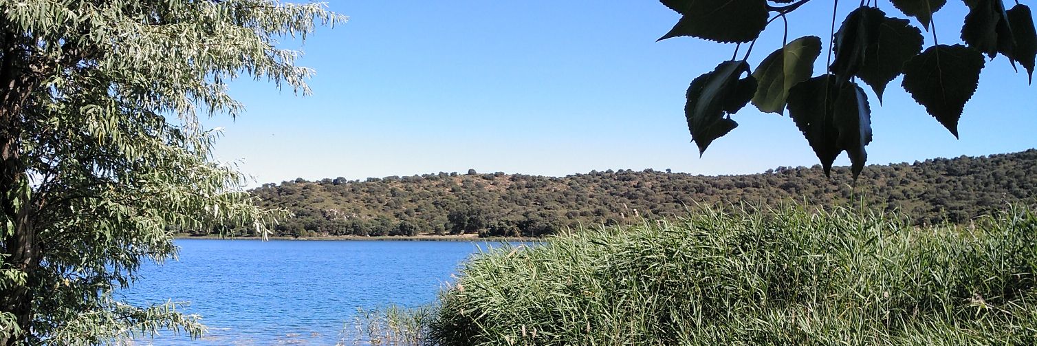 JaimeSelo's profile banner image