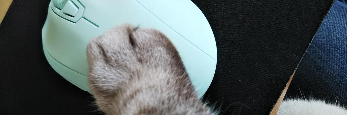 _kagi_shippo's profile banner image