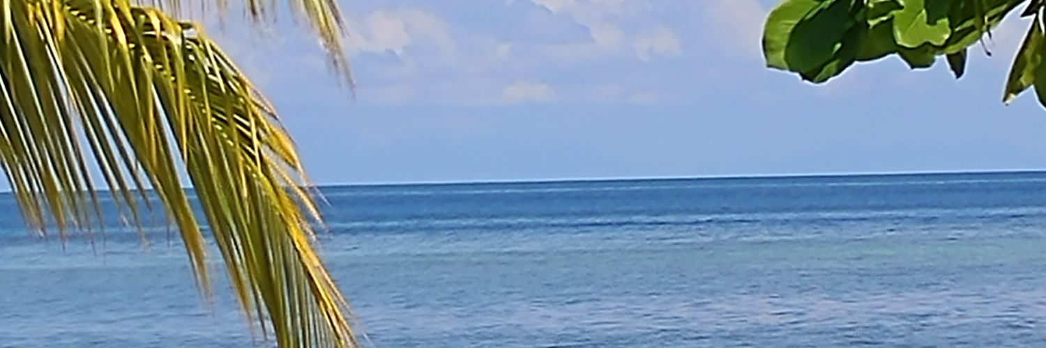 tarap2525's profile banner image