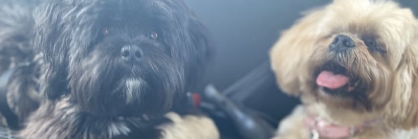 danielleframe's profile banner image