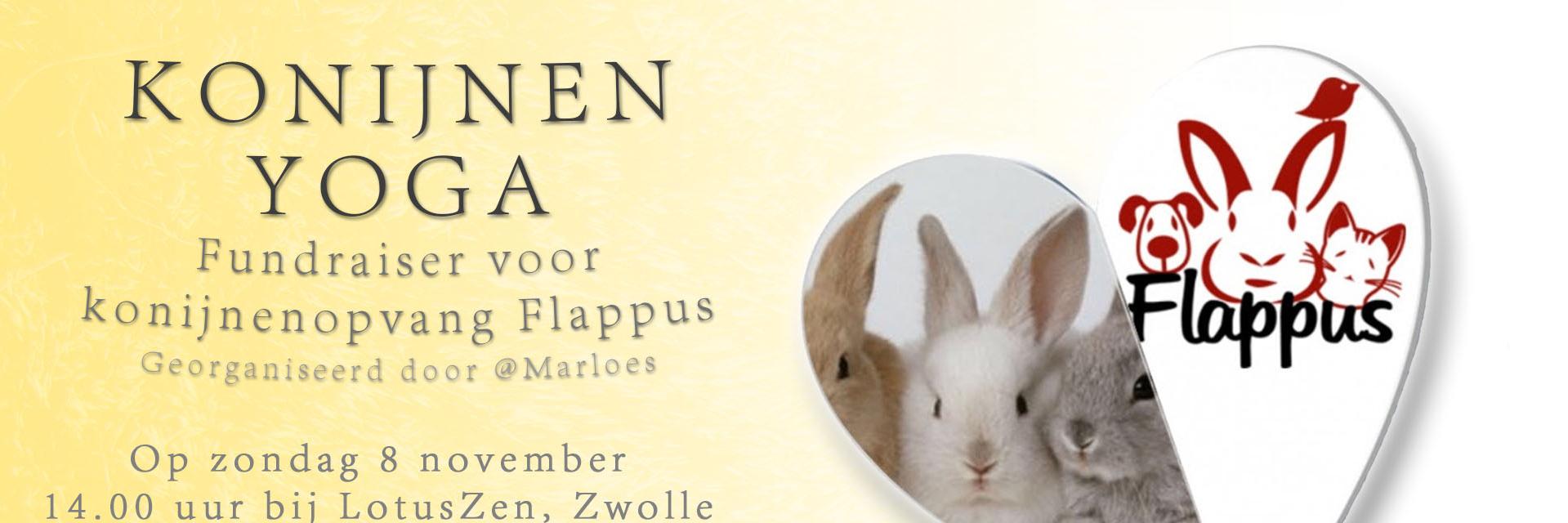 Stichting Flappus banner