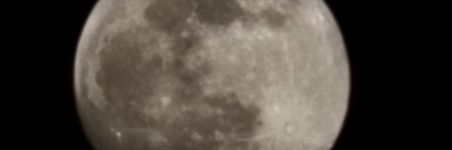 dwledwith's profile banner image