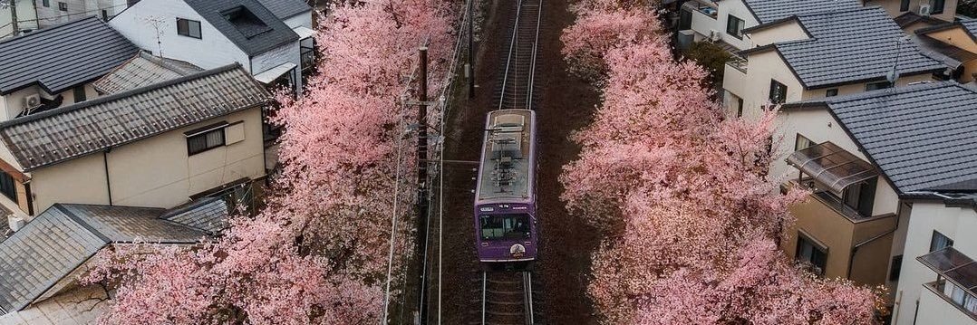 ma_55w's profile banner image
