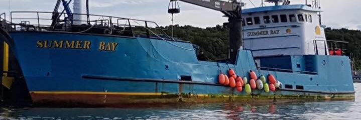 Bill Wichrowski banner