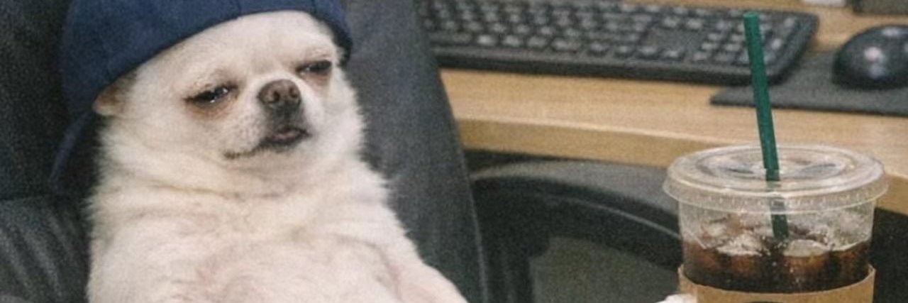 AmoStyles21's profile banner image