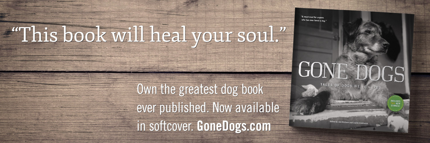 GoneDogs's profile banner image