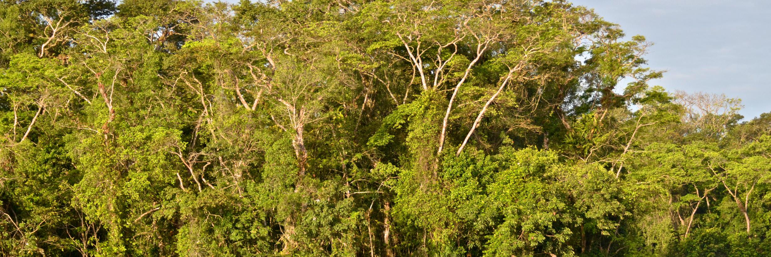 MawambaLodge's profile banner image