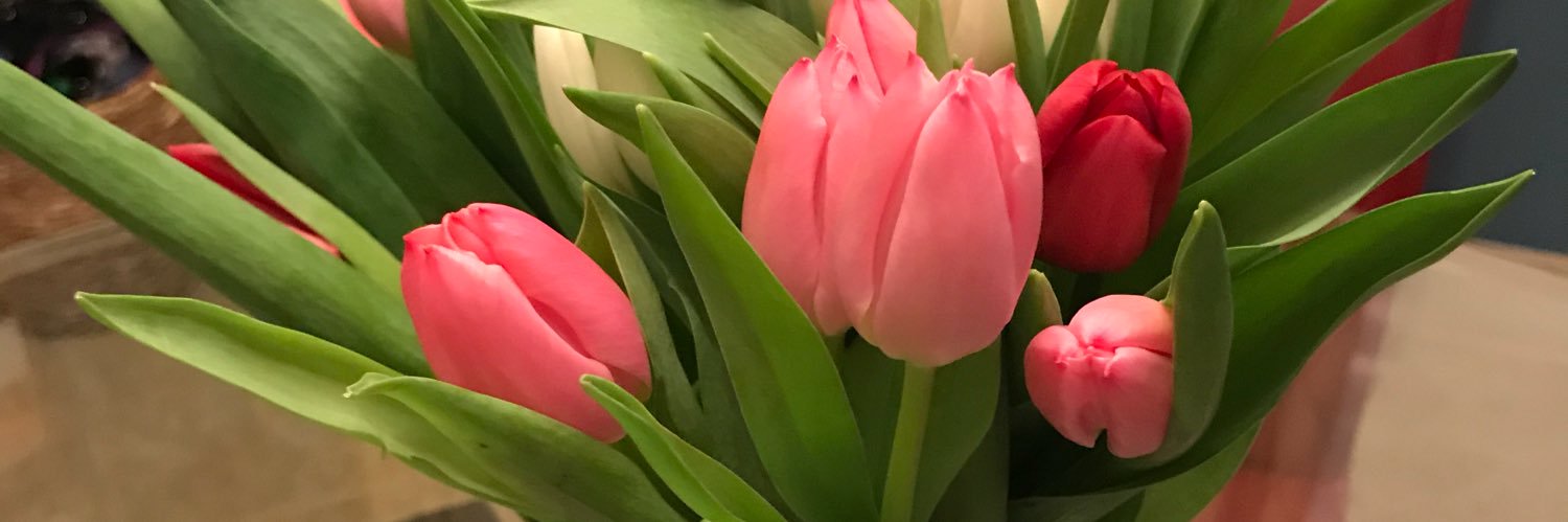 mathismom3's profile banner image