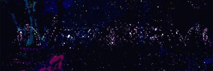 nxtsmnico's profile banner image