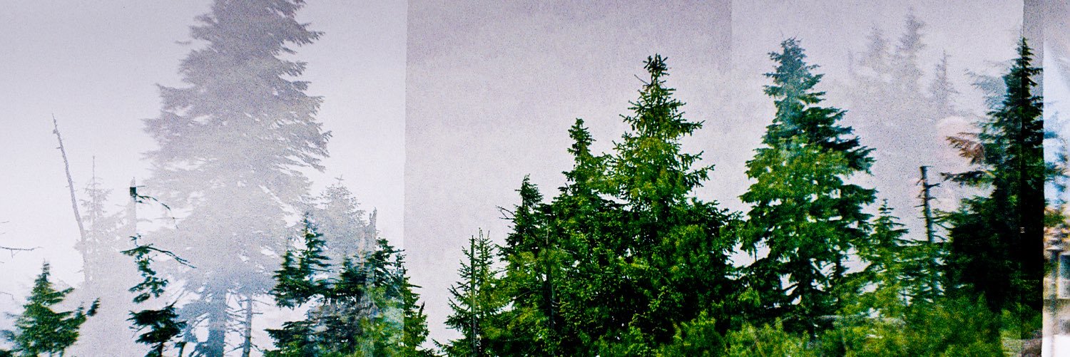 katinaityte's profile banner image