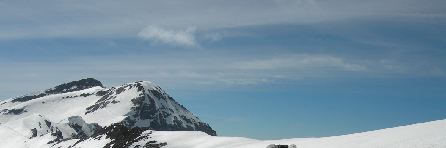 Daniel Clemente banner