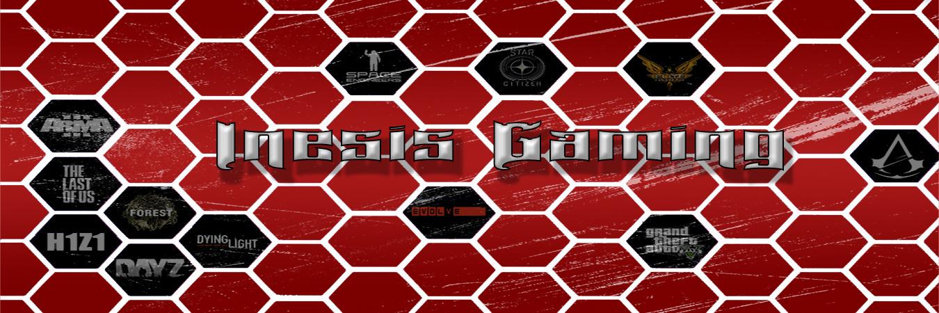 InesisGaming's profile banner image