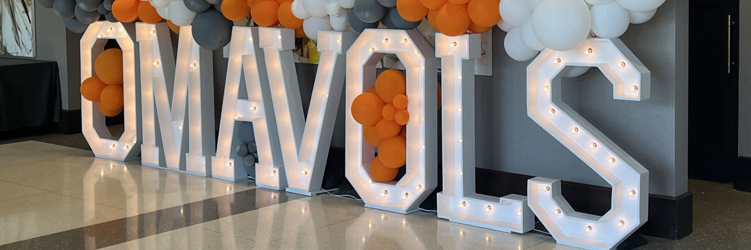 BullVOLS31's profile banner image