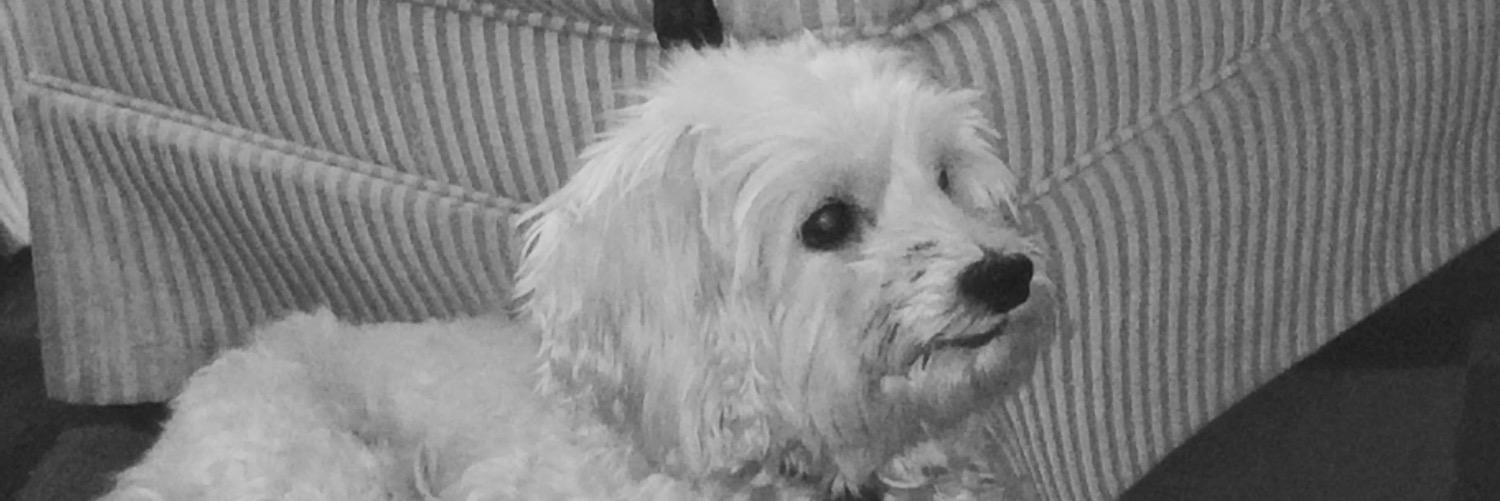 ScottyWheels1's profile banner image