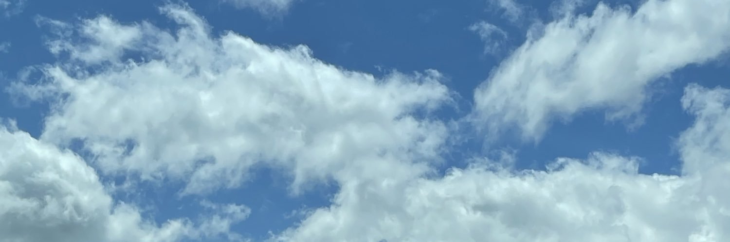 BaileyBengson's profile banner image
