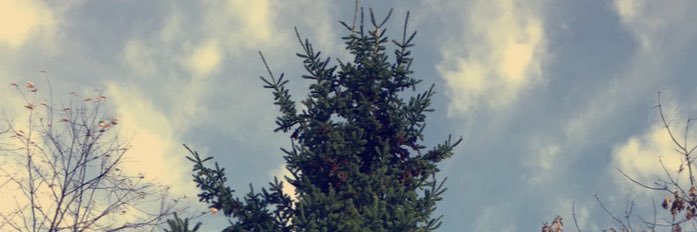 Savrios9's profile banner image
