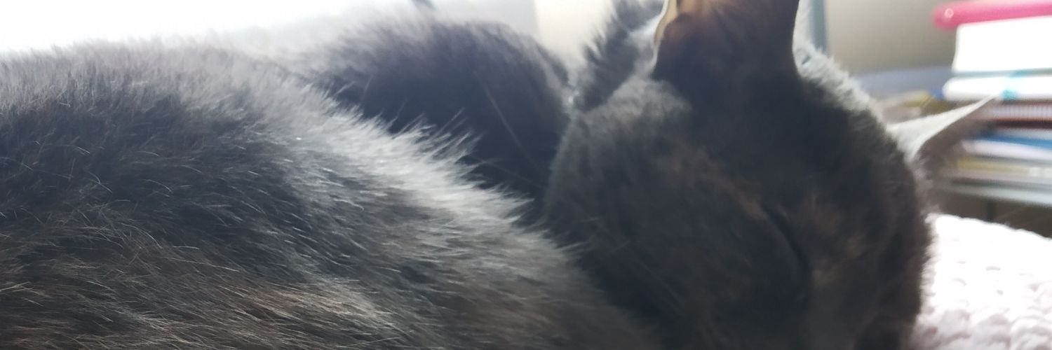 InescardabaInes's profile banner image