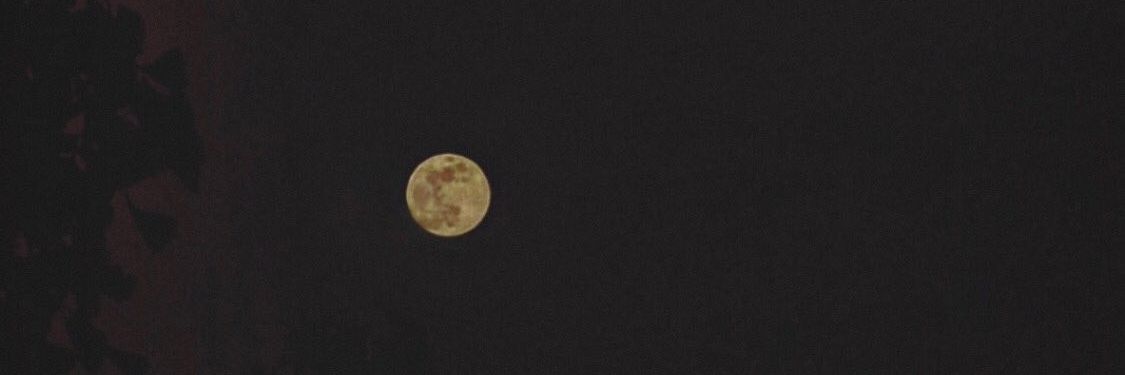 vinach444's profile banner image