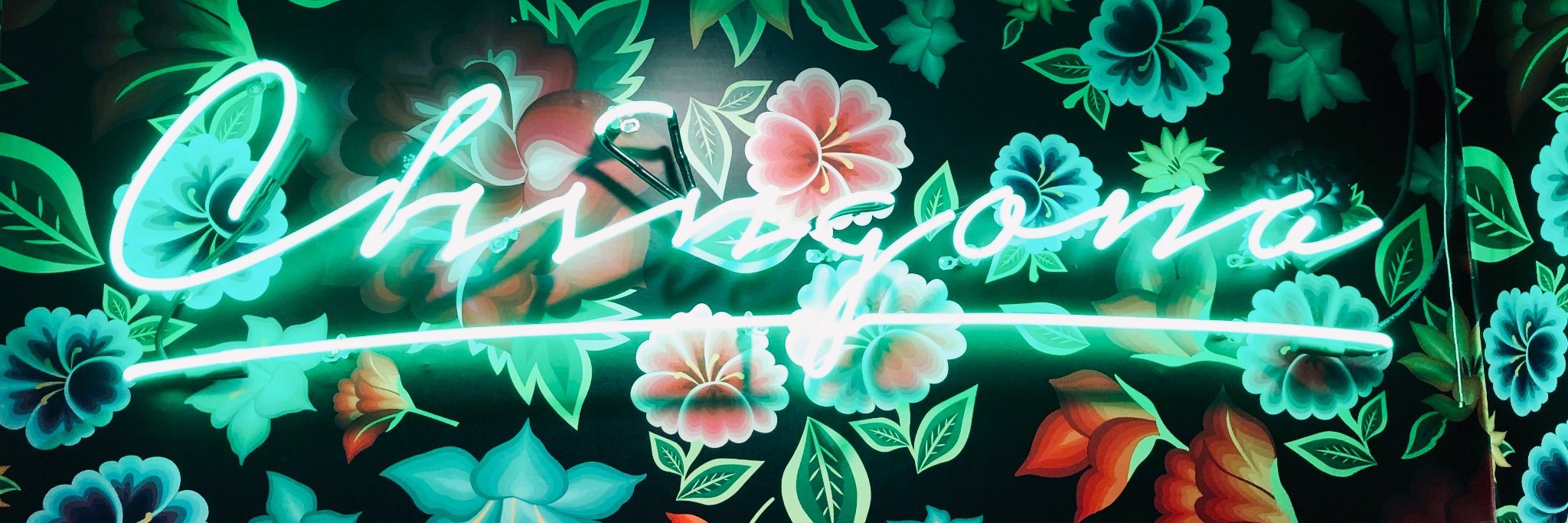 Cassie_Falafel's profile banner image