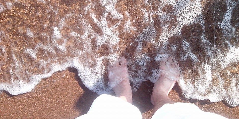 FreeFrance🇨🇵 banner