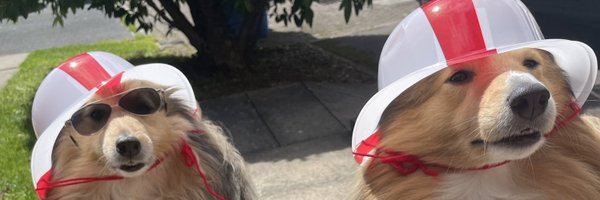 flinderpuss76 Profile Banner