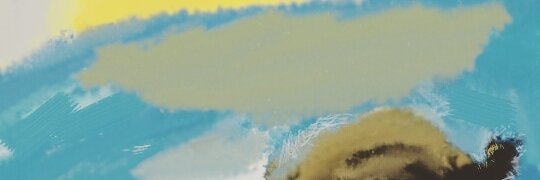 danaf_29's profile banner image