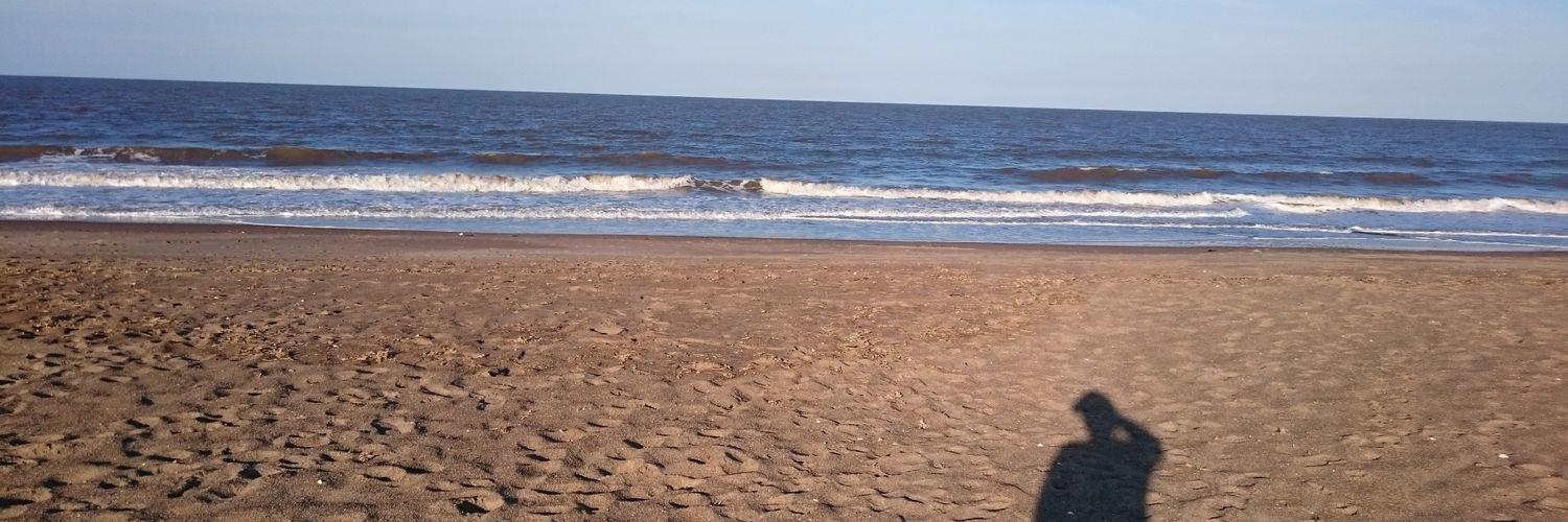 miss_rogan's profile banner image