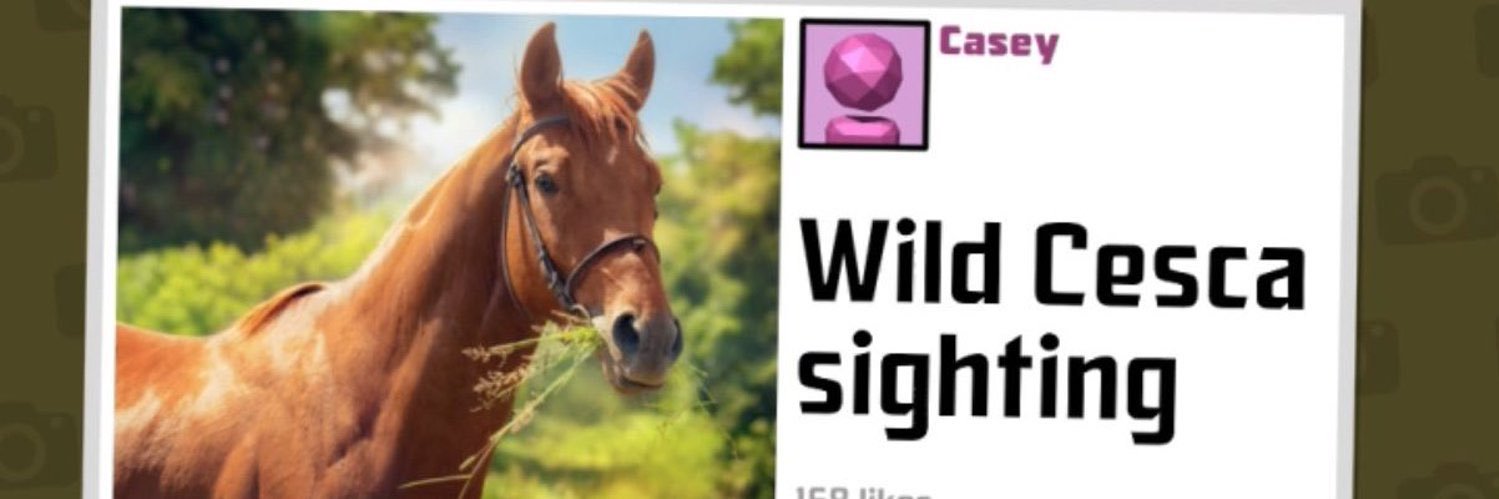 frawcasci's profile banner image