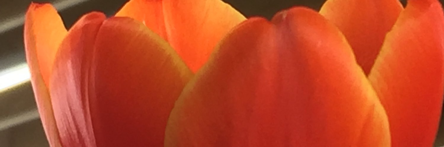 MARIANACASMA's profile banner image