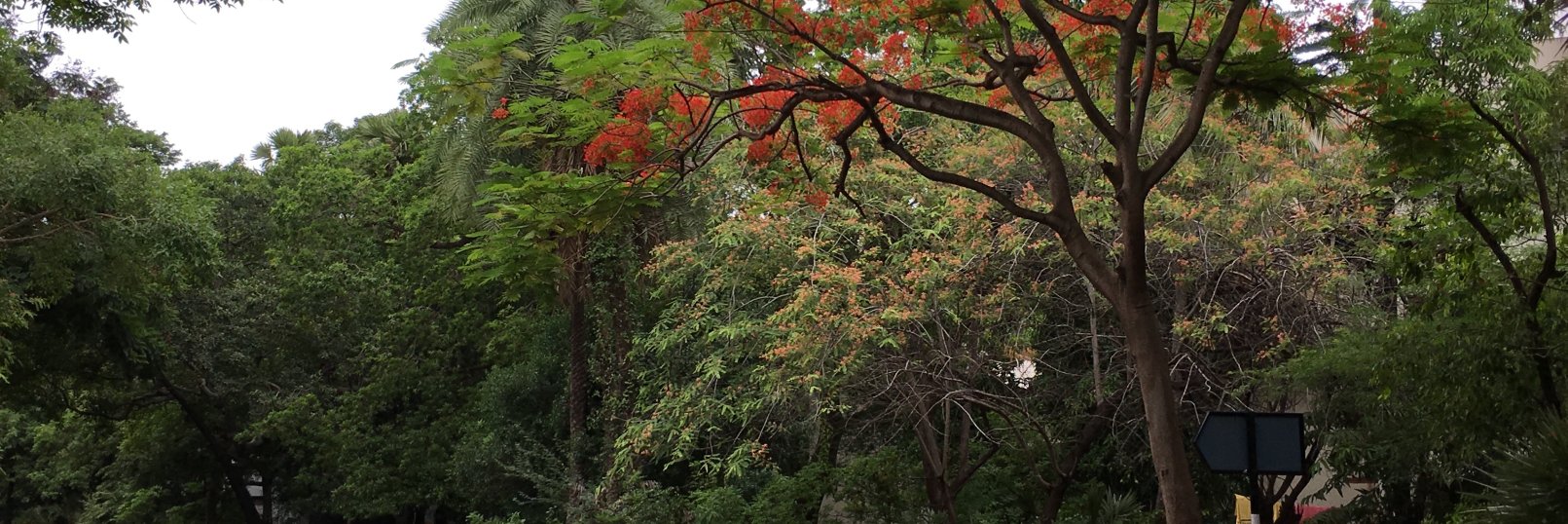 Tarun Chandrayadula banner