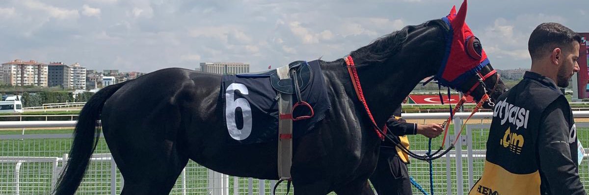 senoltr77's profile banner image