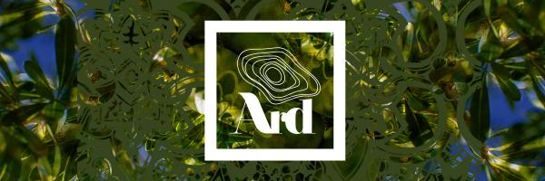 ArdMorocco Profile Banner