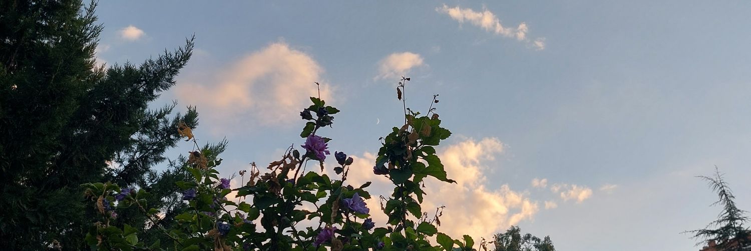 blueeflying's profile banner image