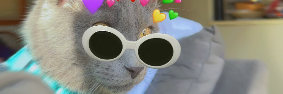 swilll_'s profile banner image